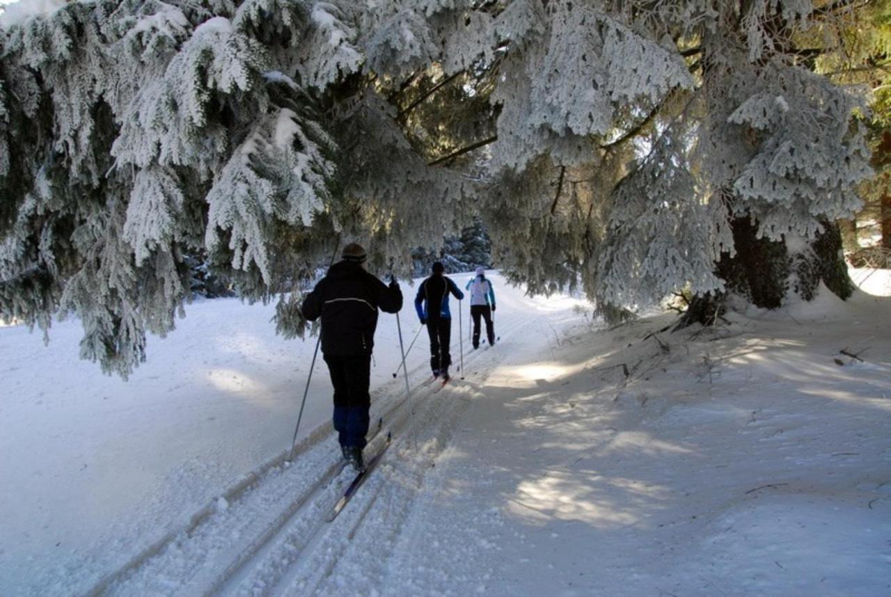 Penzion Šejby Esterno foto